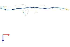 alpha Taxilin Protein (AA 1-546) (His tag)