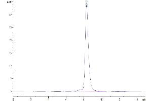 Size-exclusion chromatography-High Pressure Liquid Chromatography (SEC-HPLC) image for Guanylate Cyclase 2C (Heat Stable Enterotoxin Receptor) (GUCY2C) (AA 24-430) protein (His-Avi Tag) (ABIN7274716)