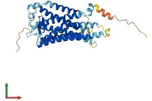 AlphaFold protein structure predicition of Mouse Recombinant Tbxa2r Protein, UniprotID P30987