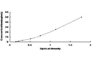 Typical Standard Curve (MSTN ELISA Kit)