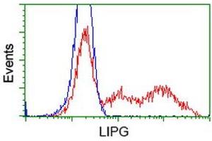 Flow Cytometry (FACS) image for anti-Lipase, Endothelial (LIPG) antibody (ABIN1499168)