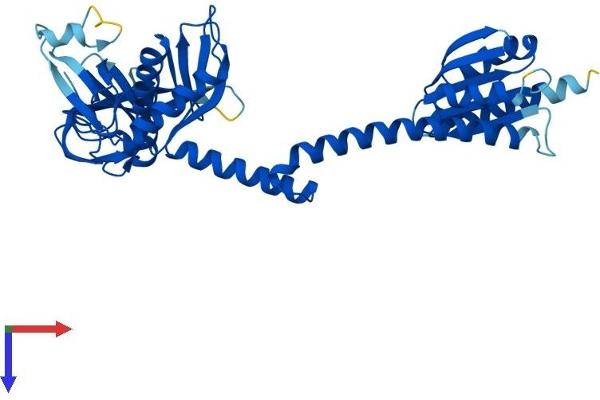 AARSD1 Protein (AA 1-412) (His tag)
