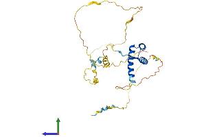 PDX1 Protein (AA 1-283) (His tag)