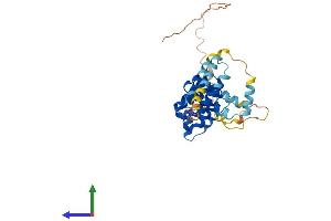 AlphaFold protein structure predicition of Human Recombinant RRN3P2 Protein, UniprotID A6NIE6
