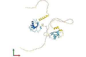 Protein Structure (PS) image for Doublecortin (DCX) (AA 1-365) protein (His tag) (ABIN7547048)
