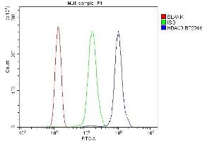 Flow Cytometry analysis of THP-1 cells using anti-HDAC9 antibody (ABIN7602333). (HDAC9 Antikörper  (AA 7-469))