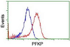 Flow cytometric Analysis of Hela cells, using anti-PFKP antibody (ABIN2455344), (Red), compared to a nonspecific negative control antibody, (Blue). (PFKP Antikörper)