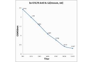 Antigen: 0. (IL12A Antikörper  (AA 51-150))