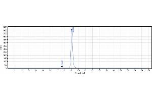 The purity of Anti-IL-9 Reference Antibody (enokizumab) is more than 95 % , determined by SEC-HPLC. (Rekombinanter IL9 (Enokizumab Biosimilar) Antikörper)