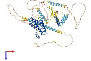 BRD9 Protein (AA 1-597) (His tag)
