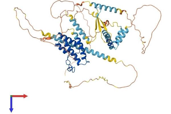 BRD9 Protein (AA 1-597) (His tag)