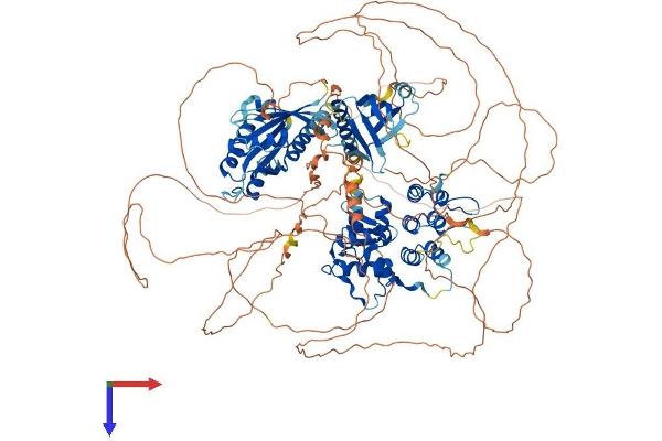 AGAP2 Protein (AA 1-1186) (His tag)
