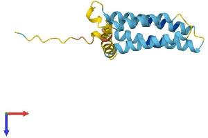 PLP2 Protein (AA 1-152) (His tag)