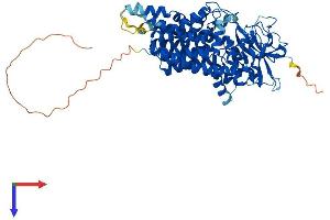 ALG9 Protein (AA 1-611) (His tag)