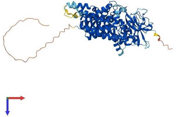 ALG9 Protein (AA 1-611) (His tag)