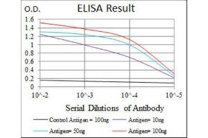 ELISA image for anti-Annexin A1 (ANXA1) (AA 144-248) antibody (ABIN1842825) (Annexin a1 Antikörper  (AA 144-248))