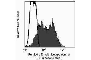 Flow Cytometry (FACS) image for anti-Tumor Protein P53 (TP53) antibody (ABIN967458)