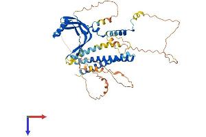 TAF7L Protein (AA 1-471) (His tag)