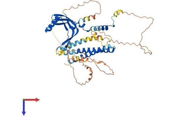 TAF7L Protein (AA 1-471) (His tag)