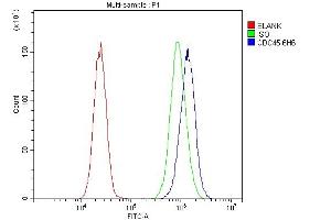 Flow Cytometry analysis of 293T cells using anti-CDC45L antibody (ABIN7600230). (CDC45 Antikörper  (AA 166-431))