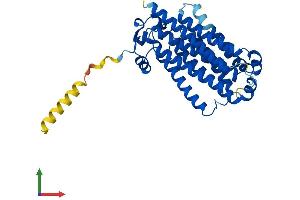 AlphaFold protein structure predicition of Mouse Recombinant Paqr7 Protein, UniprotID Q80ZE4