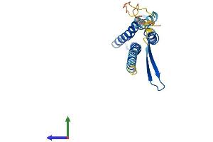 AlphaFold protein structure predicition of Mouse Recombinant Tvp23b Protein, UniprotID Q9D8T4 (TVP23C/FAM18B2 Protein (AA 1-205) (His tag))