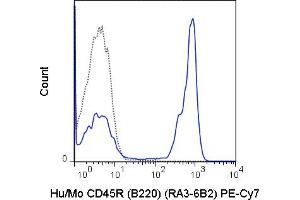 C57Bl/6 splenocytes were stained with 0. (CD45 Antikörper  (PE-Cy7))