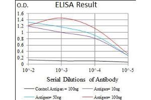 Black line: Control Antigen (100 ng), Purple line: Antigen(10 ng), Blue line: Antigen (50 ng), Red line: Antigen (100 ng), (Chromogranin A Antikörper  (AA 87-252))