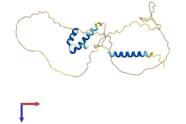 Emerin Protein (EMD) (AA 1-259) (His tag)