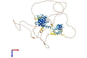 SHC4 Protein (AA 1-630) (His tag)