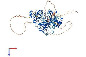 L3MBTL4 Protein (AA 1-621) (His tag)