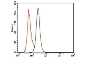 Flow cytometric analysis of MOLT4 cells using PCNA mouse mAb (green) and negative control (purple). (PCNA Antikörper)