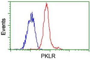 Flow Cytometry (FACS) image for anti-Pyruvate Kinase, Liver and RBC (PKLR) antibody (ABIN1500248) (PKLR Antikörper)