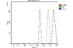 Flow Cytometry analysis of C6 cells using anti-KLF13 antibody (ABIN7602036). (KLF13 Antikörper  (AA 56-260))
