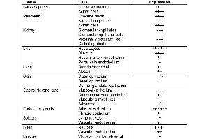 Table 1. (CD46 Antikörper)