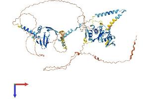DGCR8 Protein (AA 1-773) (His tag)