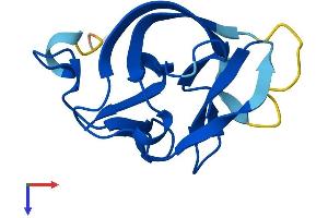 RABIF Protein (AA 1-123) (His tag)
