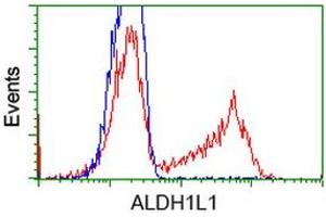 Image no. 2 for anti-Aldehyde Dehydrogenase 1 Family, Member L1 (ALDH1L1) antibody (ABIN1496581) (ALDH1L1 Antikörper)