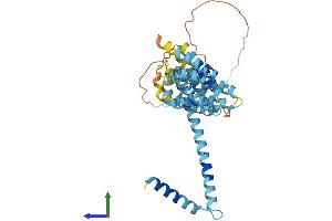 AlphaFold protein structure predicition of Human Recombinant MEI4 Protein, UniprotID A8MW99
