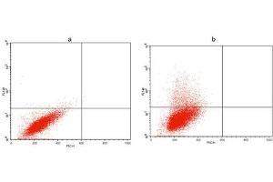 Flow cytometric analysis of non-transfected CHO cells (a) and Avi fusion protein transfeced CHO cells (b) using Avi Antibody (ABIN1574261).