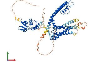 Protein Structure (PS) image for Potassium Voltage-Gated Channel, Shaker-Related Subfamily, Member 2 (KCNA2) (AA 1-499) protein (His tag) (ABIN7554322)