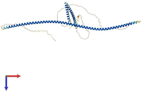 CEP57L1 Protein (AA 1-460) (His tag)