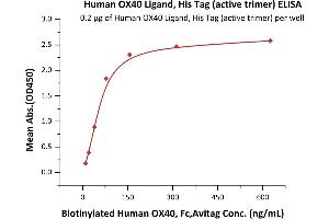 Immobilized Human OX40 Ligand, His Tag (active trimer) (MALS verified) (ABIN2870674,ABIN2870675) at 2 μg/mL (100 μL/well) can bind Biotinylated Human OX40, Fc,Avitag (ABIN2870556,ABIN2870557) with a linear range of 10-78 ng/mL (Routinely tested).
