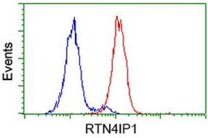 Flow cytometric Analysis of Hela cells, using anti-RTN4IP1 antibody (ABIN2454379), (Red), compared to a nonspecific negative control antibody, (Blue). (RTN4IP1 Antikörper)