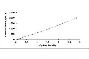 Typical standard curve (PIICP ELISA Kit)