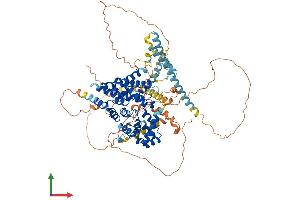 Protein Structure (PS) image for TBC1 Domain Family, Member 5 (TBC1D5) (AA 1-815) protein (His tag) (ABIN7564289)