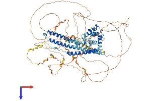 MICAL-Like 1 Protein (MICALL1) (AA 1-863) (His tag)