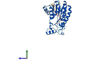 Protein Structure (PS) image for Dehydrogenase/reductase (SDR Family) Member 4 (DHRS4) (AA 1-279) protein (His tag) (ABIN7560357)