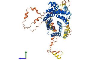 Protein Structure (PS) image for Peroxisomal Biogenesis Factor 5 (PEX5) (AA 1-639) protein (His tag) (ABIN7562239)