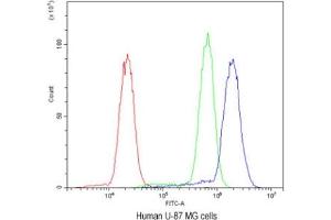 Flow cytometry testing of human U-87 MG cells with SSH3BP1 antibody at 1ug/10^6 cells (blocked with goat sera)